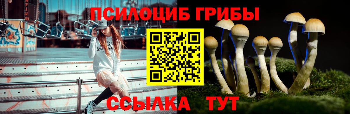 Трёхгорный  Псилоцибиновые грибы Cubensis  Вход с VPN 